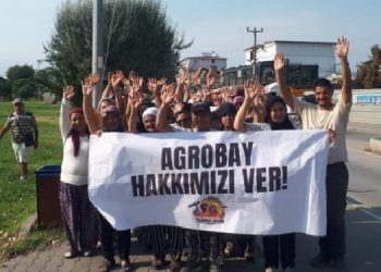 Tarım İşçileri Sendikası: Agrobay ürünlerini almayın