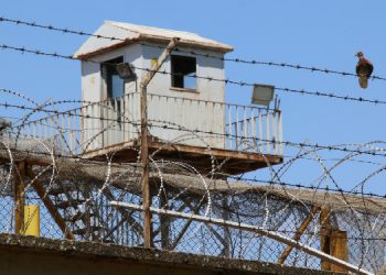 Aykol’a cezaevlerinden mektup: Hepimizin çıkınca seni görme hayali var Aykol’a cezaevlerinden mektup: Hepimizin çıkınca seni görme hayali var