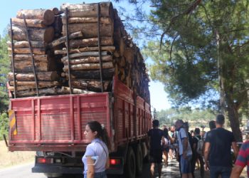 10 yılda 383 bin hektarlık alan orman dışı kullanıma açıldı