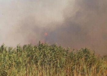 Edremit’te moloz dökülen alanda yangın