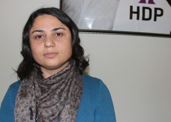 DBP Eş Genel Başkan Yardımcısı İlbasan tutuklandı