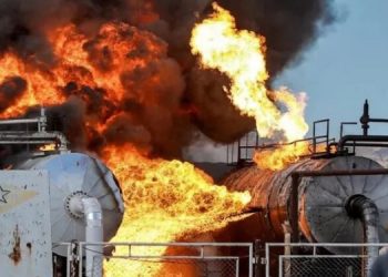 Türkiye’nin saldırılarına karşı uluslararası imza kampanyası