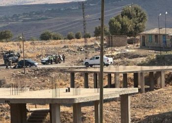 Güçlükonak’ta pirinç hasadı başladı ama tarlaya gitmek yasak