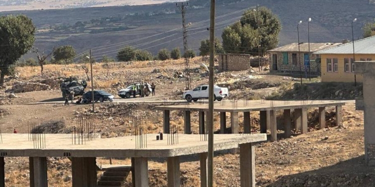 Güçlükonak’ta pirinç hasadı başladı ama tarlaya gitmek yasak Güçlükonak’ta pirinç hasadı başladı ama tarlaya gitmek yasak