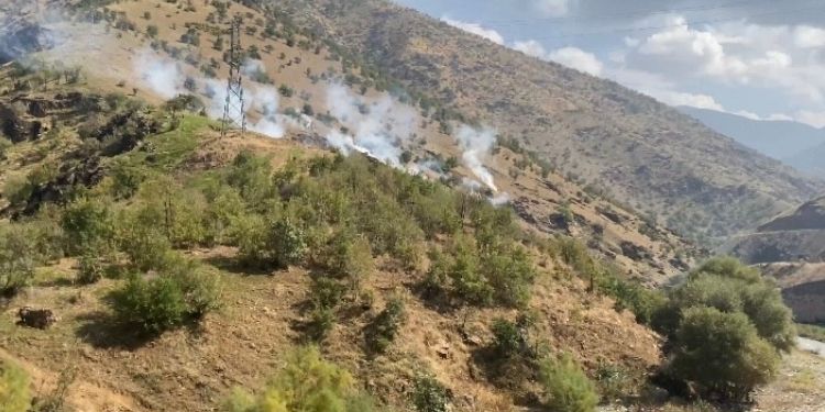Şemdilli’de polisler yaylaya rastgele gaz bombası attı Şemdilli’de polisler yaylaya rastgele gaz bombası attı