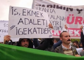 Katı atık toplayıcıları neler yaşıyor?