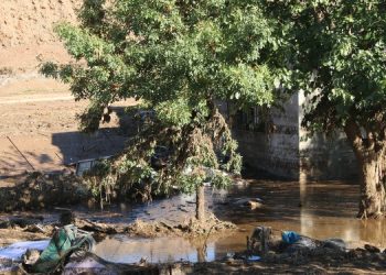 Babaanne ve 3 torununun ihmal sonucu can verdiği o geceyi anlattı