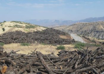 “Ekokırım Yasa Tasarısı” Meclis yolunda