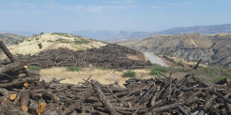 “Ekokırım Yasa Tasarısı” Meclis yolunda