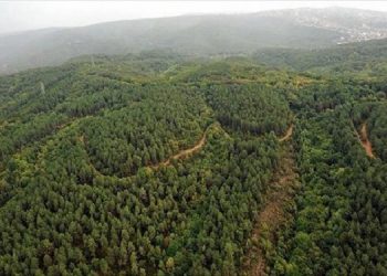 11 ilde bazı alanlar orman sınırları dışına çıkarıldı