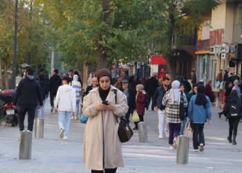 Siirtliler nasıl bir aday istiyor?