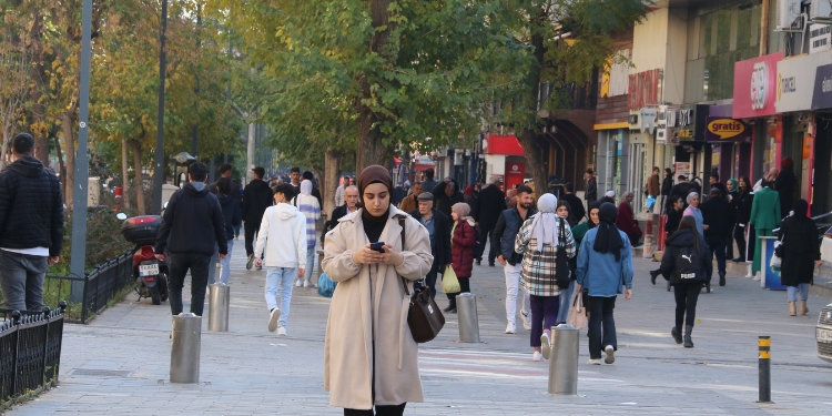 Siirtliler nasıl bir aday istiyor? Siirtliler nasıl bir aday istiyor?
