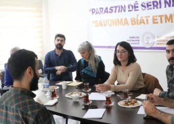 Uluslararası Kadın Delegasyonu Diyarbakır’da temaslarda bulundu
