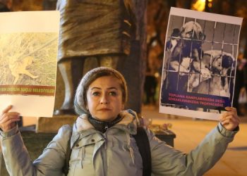 Yasaya karşı toplatılan sokak hayvanları için oturma eylemi