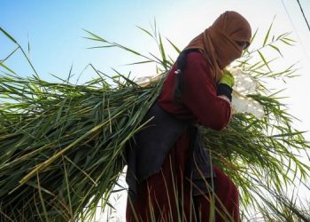 Tarımsal girdi fiyatları yüzde 40 arttı