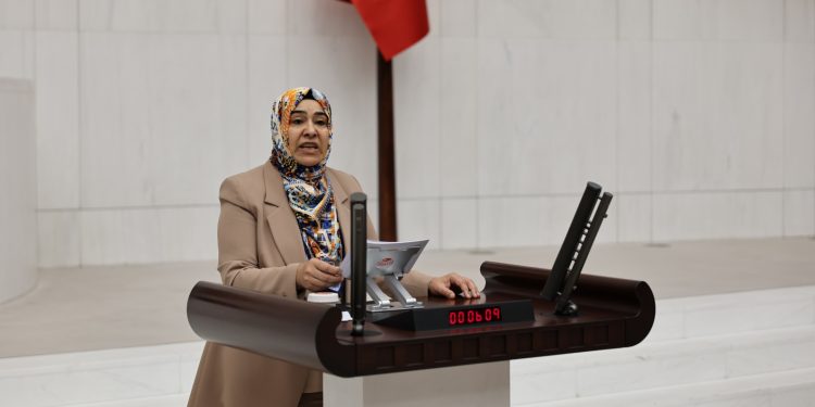 Varli: Kayyımlar gidecek, halkın iradesi kalacak