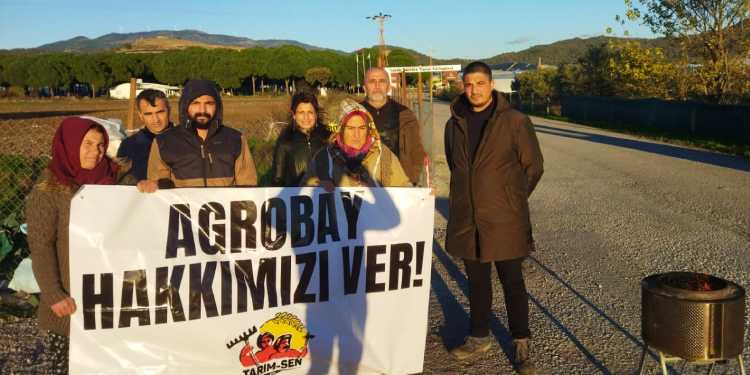 Agrobay işçilerinin direnişi 4’üncü ayında Agrobay işçilerinin direnişi 4’üncü ayında