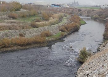 Aksu Çayı fabrika atıklarıyla kirletiliyor