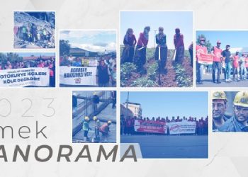 İşsizlik ve yoksulluğa karşı direniş yılı