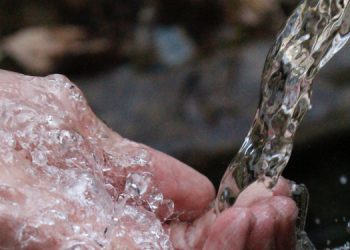 ‘Kapitalizm büyüme hırsıyla su kaynaklarını yok ediyor’ ‘Kapitalizm büyüme hırsıyla su kaynaklarını yok ediyor’