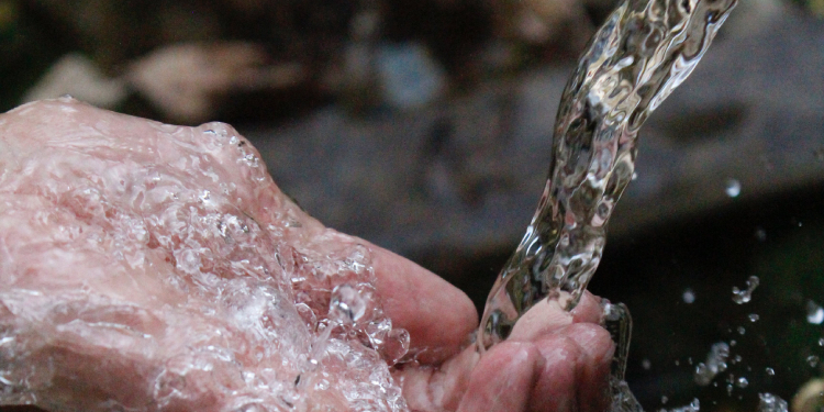 ‘Kapitalizm büyüme hırsıyla su kaynaklarını yok ediyor’ ‘Kapitalizm büyüme hırsıyla su kaynaklarını yok ediyor’