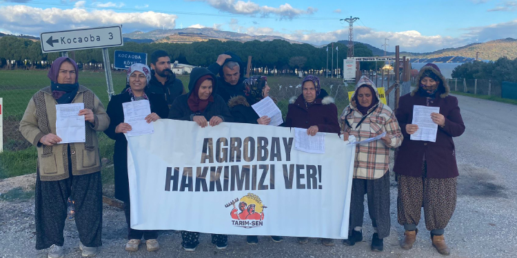 Agrobay işten çıkardığı işçilere tazminat davası açtı Agrobay işten çıkardığı işçilere tazminat davası açtı