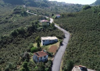 Ordu’nun ormanlarına maden: 3 ilçede süreç başladı