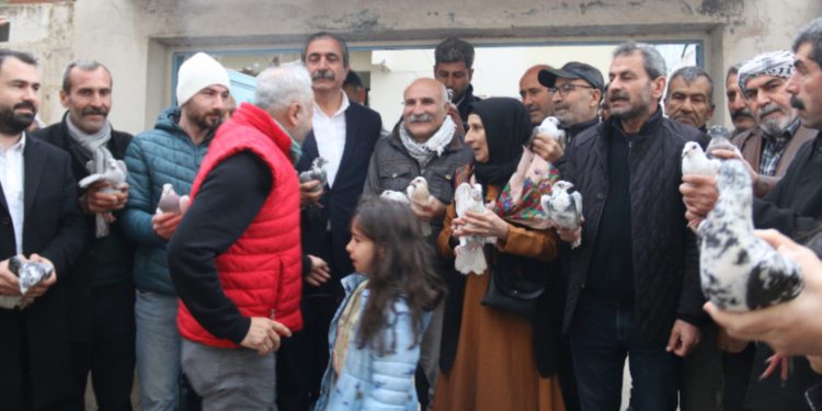 Cezaevinden çıkan Kırmızı için güvercin uçuruldu Cezaevinden çıkan Kırmızı için güvercin uçuruldu