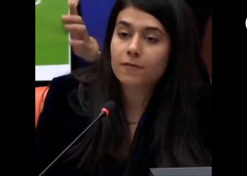 Meclis’te Kürtçe’ye engel