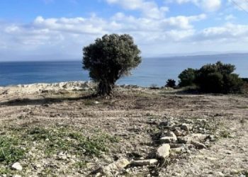 Aya Yorgi Koyu’nda doğa tahribatı