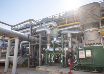 Aydın’da jeotermal kurulması için ağaçlar kesiliyor