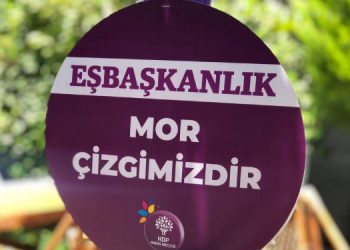 Göksoy: Kadın odaklı yerel yönetim eşbaşkanlıkla mümkün