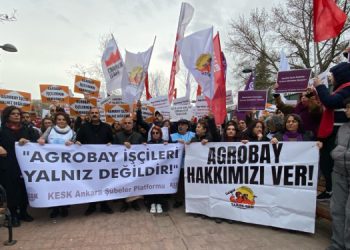 Demokratik kurum ve partilerden Agrobay işçilerine destek açıklaması