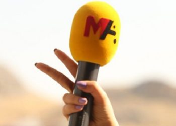 Ağaç kesimi haberine takipsizlik