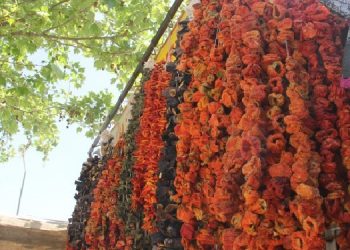 Ekonomik kriz isotu da vurdu!