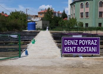 DEM Partili belediyeden kadın istihdamı için ilk adım