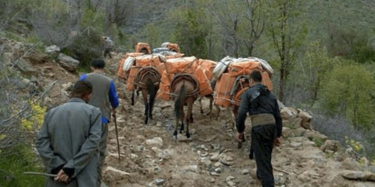 İran’da bir kolber katledildi