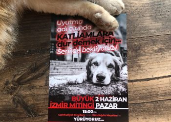 Mitinge çağrı: Hayvanları sistemin kanlı ellerine bırakmayacağız