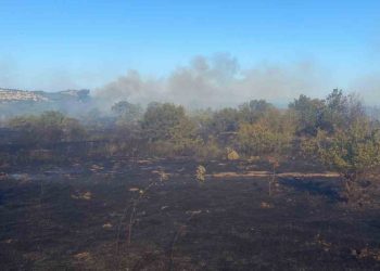 Bigadiç ve Ayvacık’ta orman yangını