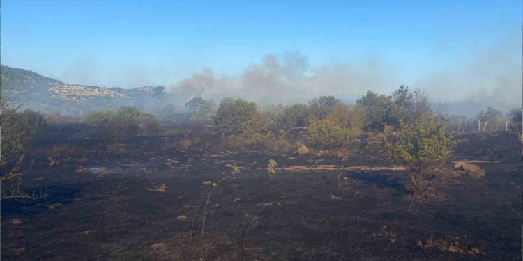 Bigadiç ve Ayvacık’ta orman yangını