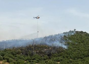 Ege’de orman yangınları: Uçak Bafa Gölüne düştü