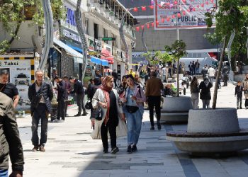 Van’lı yurttaşlar: Devlet adım atsın