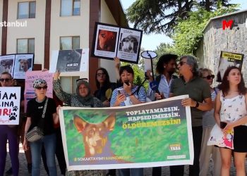 ‘Öldürme’ yasasına karşı eylem: Hayvanlardan elinizi çekin