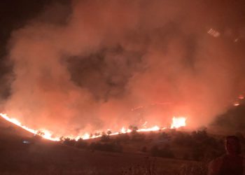 “Yaşananlar kader değil, müdahale araçları hazır tutulmalı”