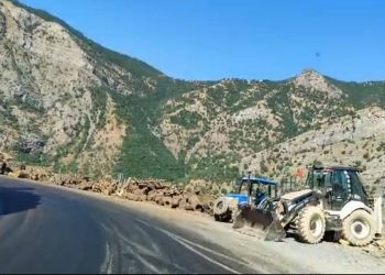 Komate’de orman kıyımı sürüyor