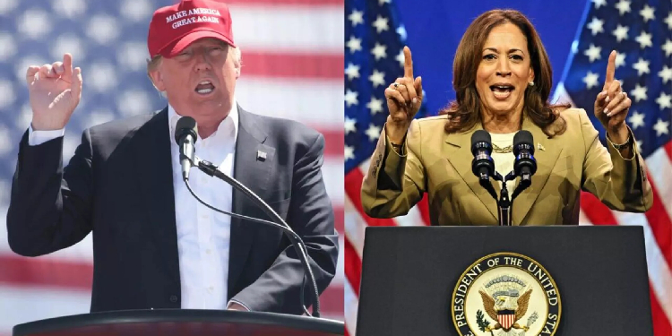 ABD’de son seçim anketine göre Harris az farkla Trump’ın önünde ABD’de son seçim anketine göre Harris az farkla Trump’ın önünde