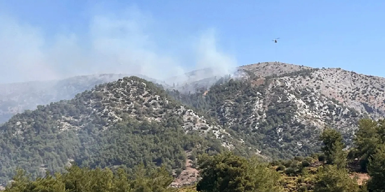 Milas’ta 2 bölgede orman yangını Milas’ta 2 bölgede orman yangını