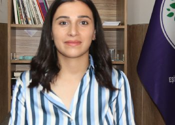 Tekçe: İstanbul’dan gelen ses ve dayanışma Türkiye demokrasisi için çok önemlidir