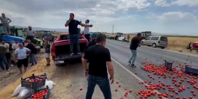 Çiftçilerden eylem: Ürünlerini yola döktüler Çiftçilerden eylem: Ürünlerini yola döktüler