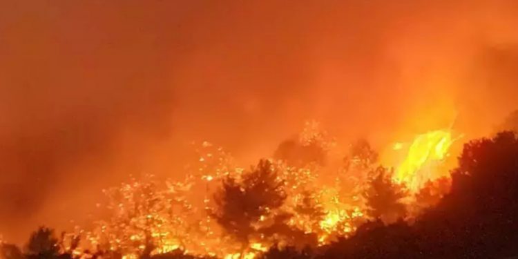 Muğla’nın 3 ilçesinde yangın çıktı